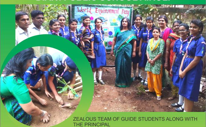 Tree Plantation