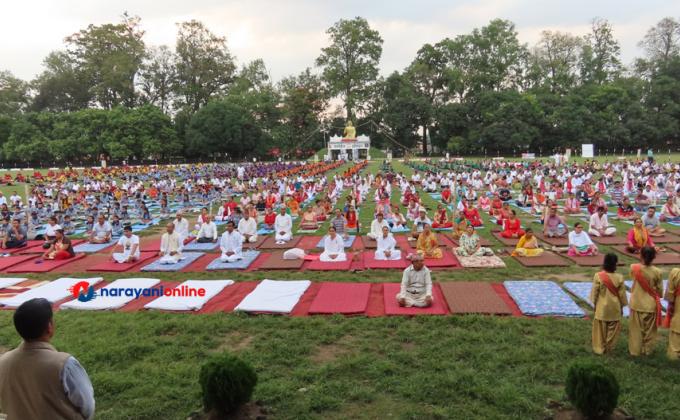 International Yoga Day Service Camp