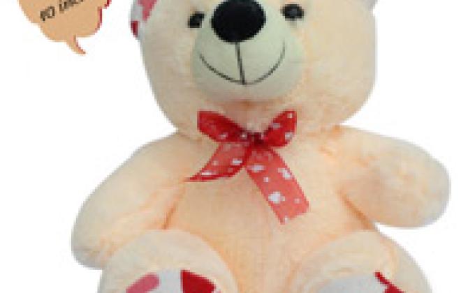 Buy Rakhi Gifts