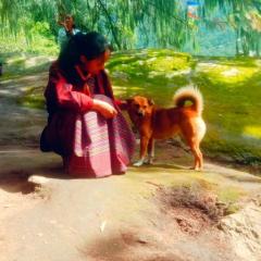 Profile picture for user denma1! 