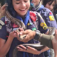 Profile picture for user clara loverso do couto