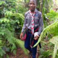 Profile picture for user Jesugnon Théophile_1