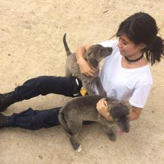 Profile picture for user Gisell Escarlet Montejano López_1