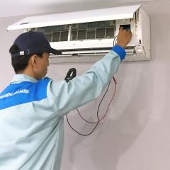 Profile picture for user limosabomgamaylanh