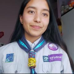 Profile picture for user Ari.g_1