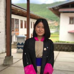 Profile picture for user shacha wangmo