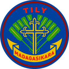 Profile picture for user tilyscout_1