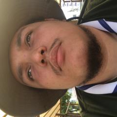 Profile picture for user vinnideiro