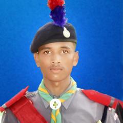 Profile picture for user Collie Scout