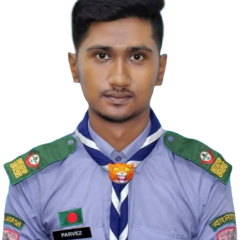 Profile picture for user Parvez Sarkar_1