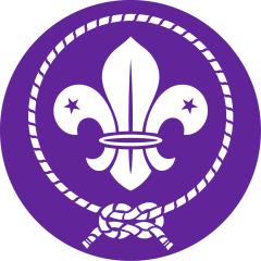 Profile picture for user Africa Scout Region