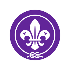 Profile picture for user Arab Scout Region