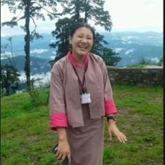 Profile picture for user scout khandu wangmo