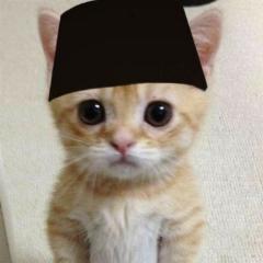 Profile picture for user ervanahmadnurussidiq@gmail.com