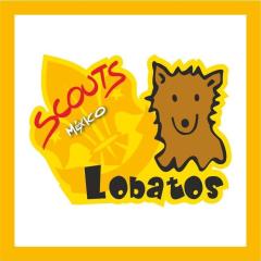 Profile picture for user Lobos de luna 318 VNE_1