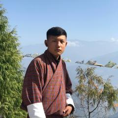 Profile picture for user sonam tashi 