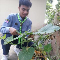 Profile picture for user zarif ahmed