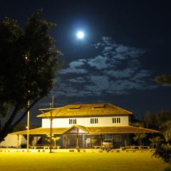 Profile picture for user José Manoel Pereira Neto_1