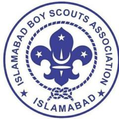 Profile picture for user ibsa