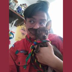 Profile picture for user Parzival_1