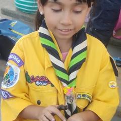 Profile picture for user elah