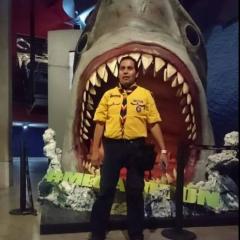 Profile picture for user ANDRES franco_1