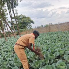 Profile picture for user wahomekevin2003@gmail.com