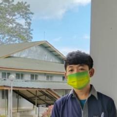 Profile picture for user provin