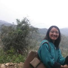 Profile picture for user tpemo2016_1_1