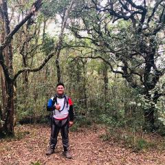 Profile picture for user Mark Lawrence Candido_1