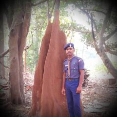 Profile picture for user arun hwb_1