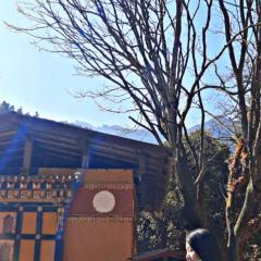 Profile picture for user yangchen wangmo 