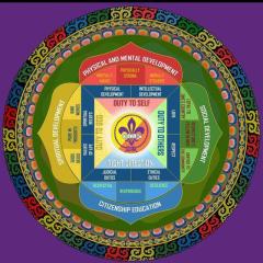 Profile picture for user tashipanther