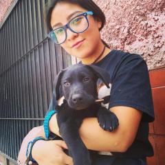 Profile picture for user Fernanda Mora Estevez_1