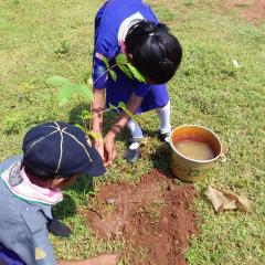 Profile picture for user Odisha State Bharat Scouts and Guides_1