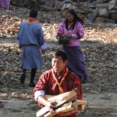 Profile picture for user Tshewang Dendup-wcs_1