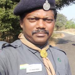 Profile picture for user dinakaranscout_1