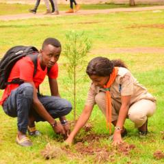 Profile picture for user activistwambui