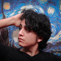 Profile picture for user ferdyhidalgo