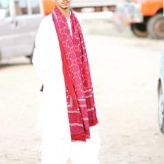 Profile picture for user taqizaidi_1