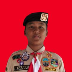 Profile picture for user muhammad safari