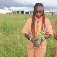 Profile picture for user linnet festus 