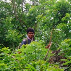 Profile picture for user Arivuselvan CB_1