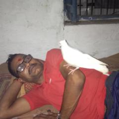 Profile picture for user sanjay3006