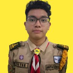 Profile picture for user peter sinaga