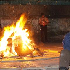 Profile picture for user Adi Mulyadi_1