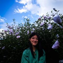 Profile picture for user phuntsho seldon