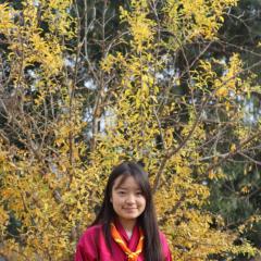 Profile picture for user YangchenDema_1