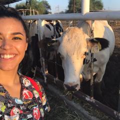 Profile picture for user cathygastelum9@gmail.com