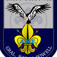 Profile picture for user g12 gral. baden powell
